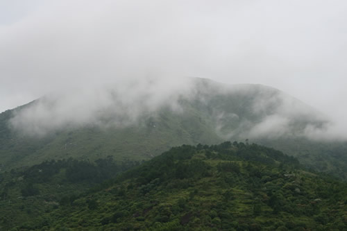 绿芦烟雨——绿芦山